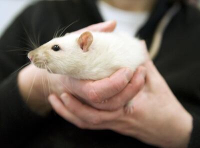 /pf/resources/images/abc-placeholder.png?d=2395