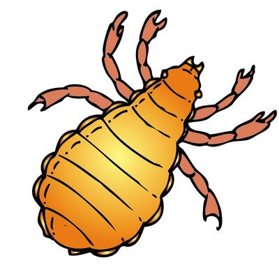 /pf/resources/images/abc-placeholder.png?d=2393