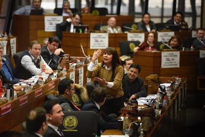 Celeste Amarilla gesticula durante su intervención en la sesión de la Cámara de Diputados.