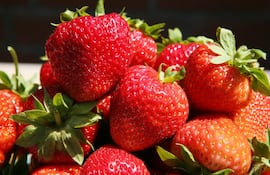 guarde-las-frutillas-sin-lavar-en-la-heladera-84038000000-1707158.jpeg