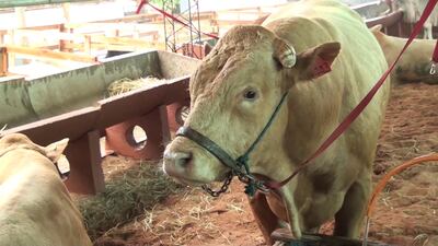 /pf/resources/images/abc-placeholder.png?d=2421