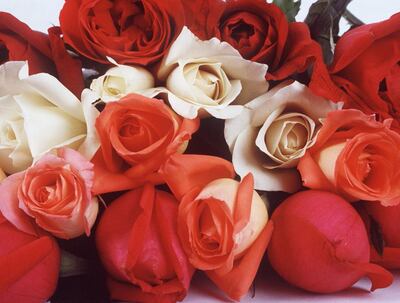 /pf/resources/images/abc-placeholder.png?d=2423