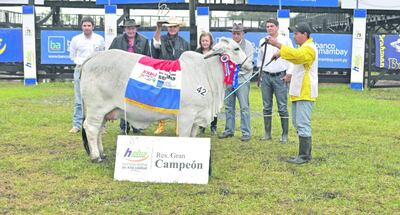 /pf/resources/images/abc-placeholder.png?d=2425