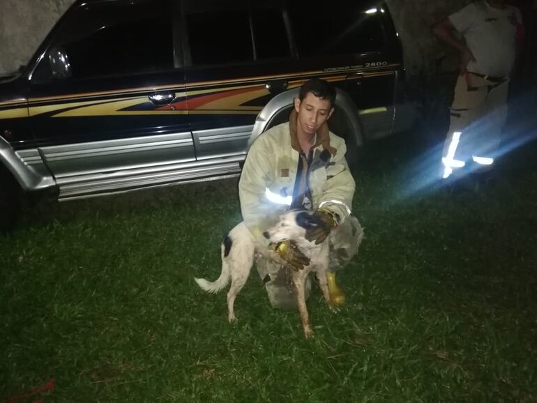 Bomberos rescatan a perra que cayó a un pozo ciego