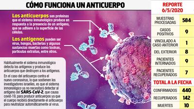 Anticuerpo sería mejor que la vacuna