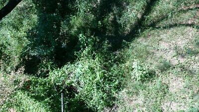 /pf/resources/images/abc-placeholder.png?d=2395