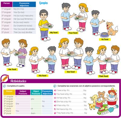 Possessive Adjectives