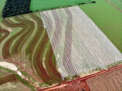El suelo es el recurso estratégico que hay que cuidar para asegurar la producción de alimentos.