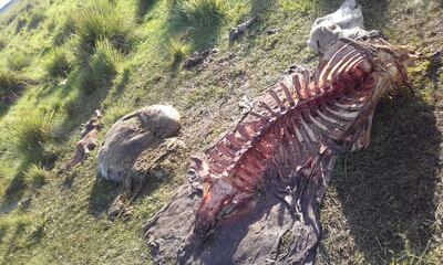 /pf/resources/images/abc-placeholder.png?d=2420