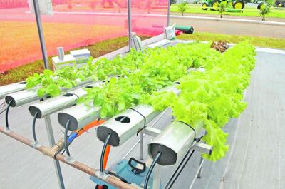 /pf/resources/images/abc-placeholder.png?d=2393