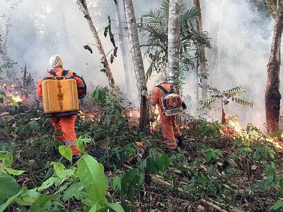 Personal de Bomberos de la ciudad de Porto Velho, que muestra una de las conflagraciones de los grandes incendios que azotan la amazonía brasileña, en Porto Velho, capital del estado amazónico de Rondonia (Brasil).