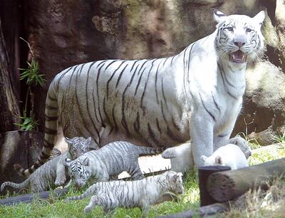 /pf/resources/images/abc-placeholder.png?d=2420