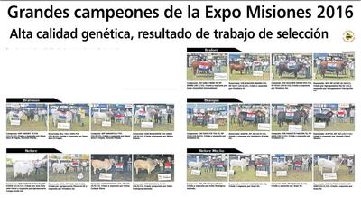 /pf/resources/images/abc-placeholder.png?d=2452