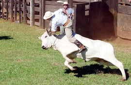 la-doma-de-toros-sera-uno-de-los-atractivos-del-festival-latinoameri-cano-de-la-doma-y-el-folclore--221006000000-502612.jpg