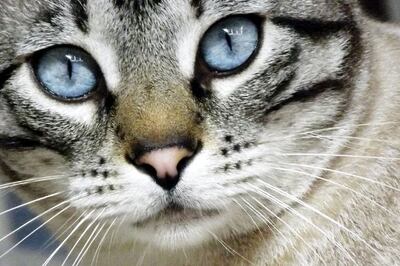 /pf/resources/images/abc-placeholder.png?d=2421