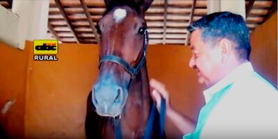 Interesante video para aprender cómo alimentar a  estos animales.