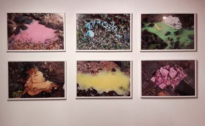 Desde hoy y hasta el 28 de marzo, el trabajo de la artista Ana Baumann se expondrá en el CCEJS.