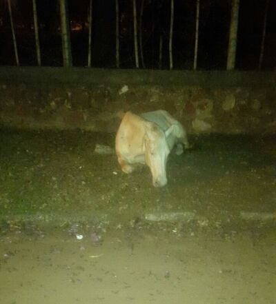 /pf/resources/images/abc-placeholder.png?d=2395