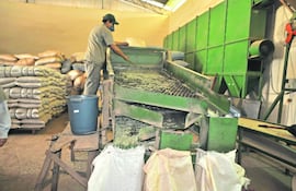 almacenamiento-y-envasado-de-productos-organicos-101534000000-1432646.JPG