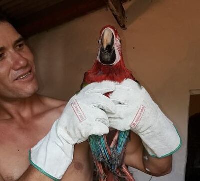 /pf/resources/images/abc-placeholder.png?d=2393