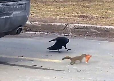 /pf/resources/images/abc-placeholder.png?d=2429