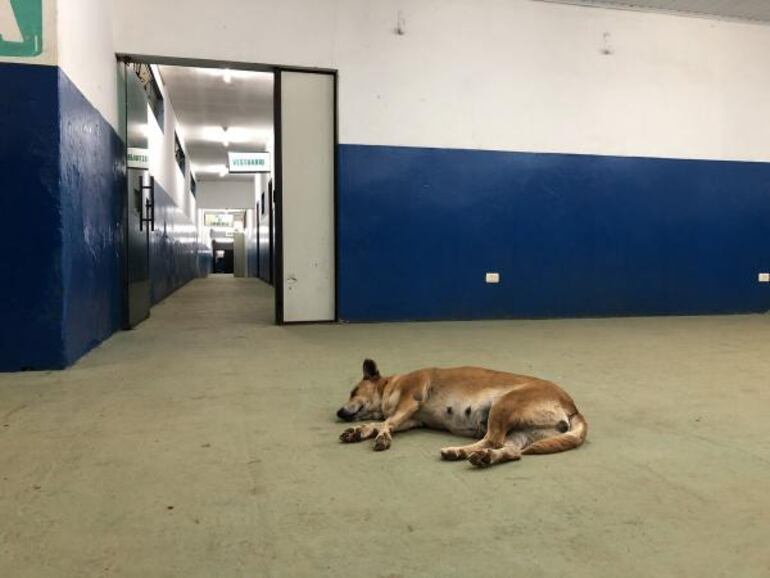 /pf/resources/images/abc-placeholder.png?d=2395