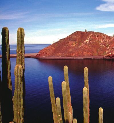 /pf/resources/images/abc-placeholder.png?d=2420