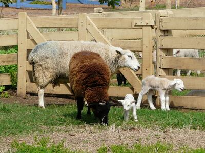 Imagen sin descripción