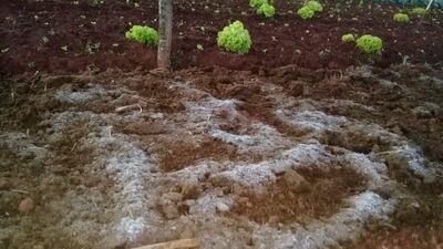 Heladas en Encarnación.