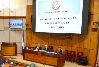 El senador Abel González (PLRA, llanista) encabeza una audiencia pública sobre su polémico proyecto de ley.