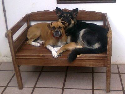 /pf/resources/images/abc-placeholder.png?d=2421