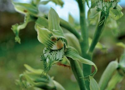 /pf/resources/images/abc-placeholder.png?d=2394