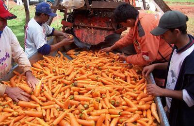 /pf/resources/images/abc-placeholder.png?d=2393