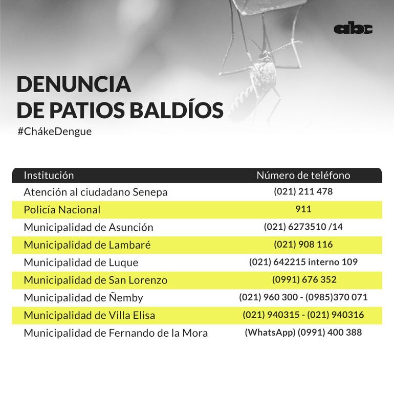 Dónde denunciar suciedad o patios baldíos para luchar contra el dengue.