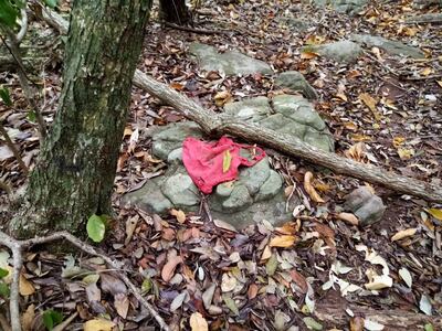 Tela hallada en zona boscosa donde supuestamente desapareció Juliette.