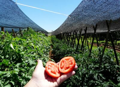 /pf/resources/images/abc-placeholder.png?d=2393