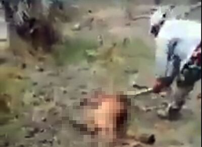 Captura del vídeo en que se observa a un grupo de personas matar a golpes a un puma.