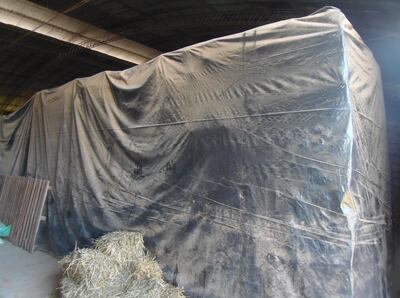 Imagen sin descripción