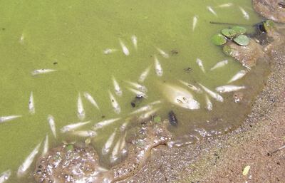 /pf/resources/images/abc-placeholder.png?d=2432