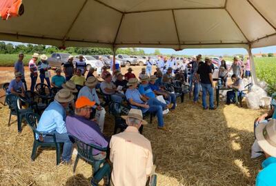 Agrotec fue una de las firmas que presentaron variedades de soja.