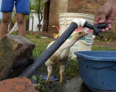 /pf/resources/images/abc-placeholder.png?d=2393