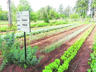 /pf/resources/images/abc-placeholder.png?d=2430