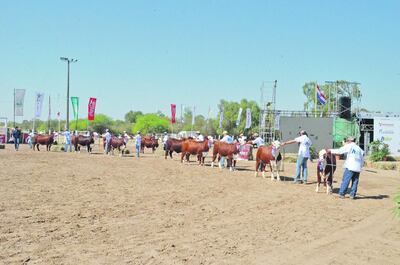 /pf/resources/images/abc-placeholder.png?d=2397