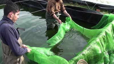 /pf/resources/images/abc-placeholder.png?d=2430