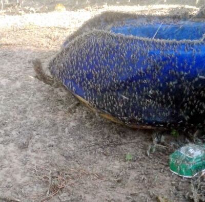 /pf/resources/images/abc-placeholder.png?d=2393