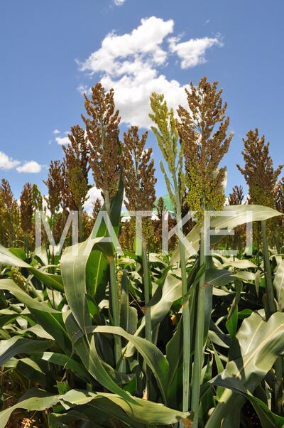 /pf/resources/images/abc-placeholder.png?d=2421