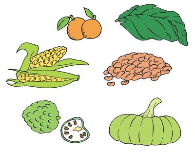 Imagen sin descripción