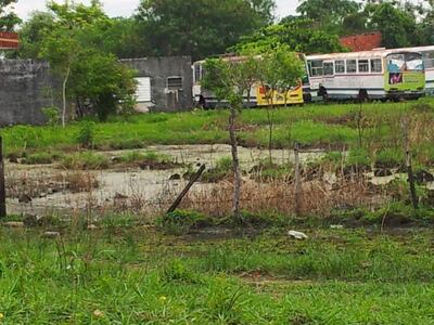 Imagen sin descripción