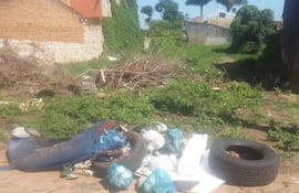 un-monton-de-basura-frente-a-un-baldio-en-fernando-de-la-mora--231603000000-1399536.jpg