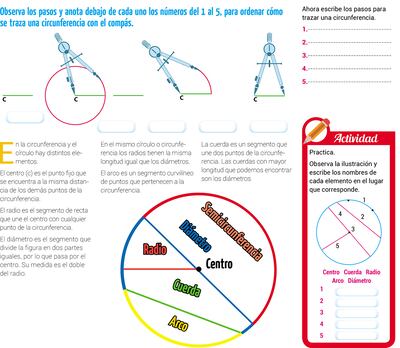 Círculo y circunferencia